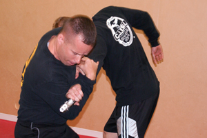 Inside Knee Strike